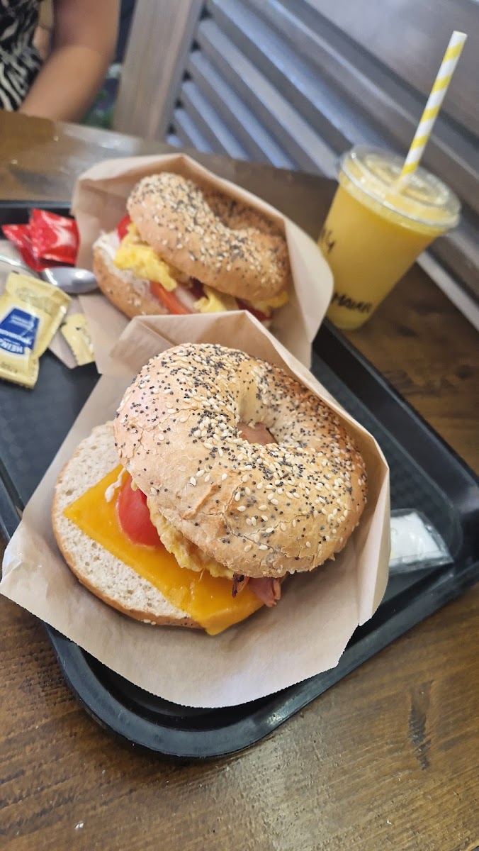 Holyroll Puente Y Pellon-9